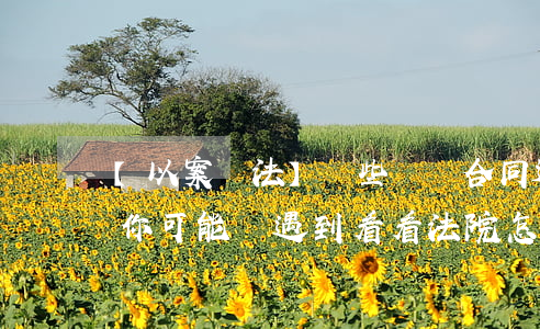 【以案釋法】這些“陰陽合同”逃稅的典型案例，你可能會遇到！看看法院怎么判？